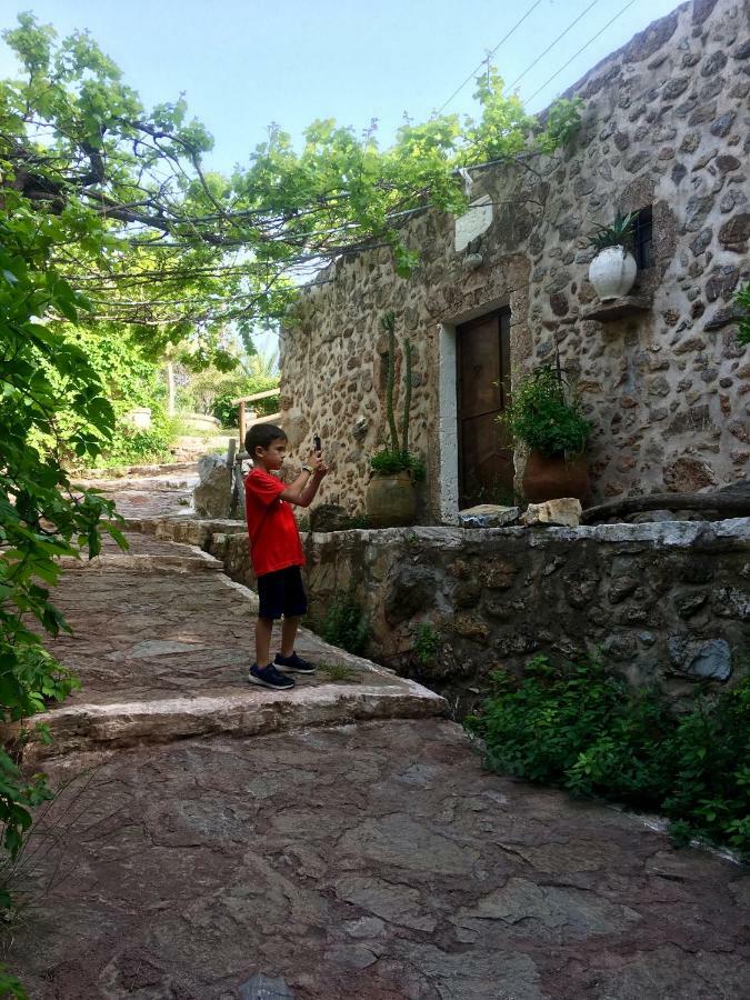 Villa Kalliopi Ιncreteble Cretan Resindences Collection Xerokampos  Exterior foto